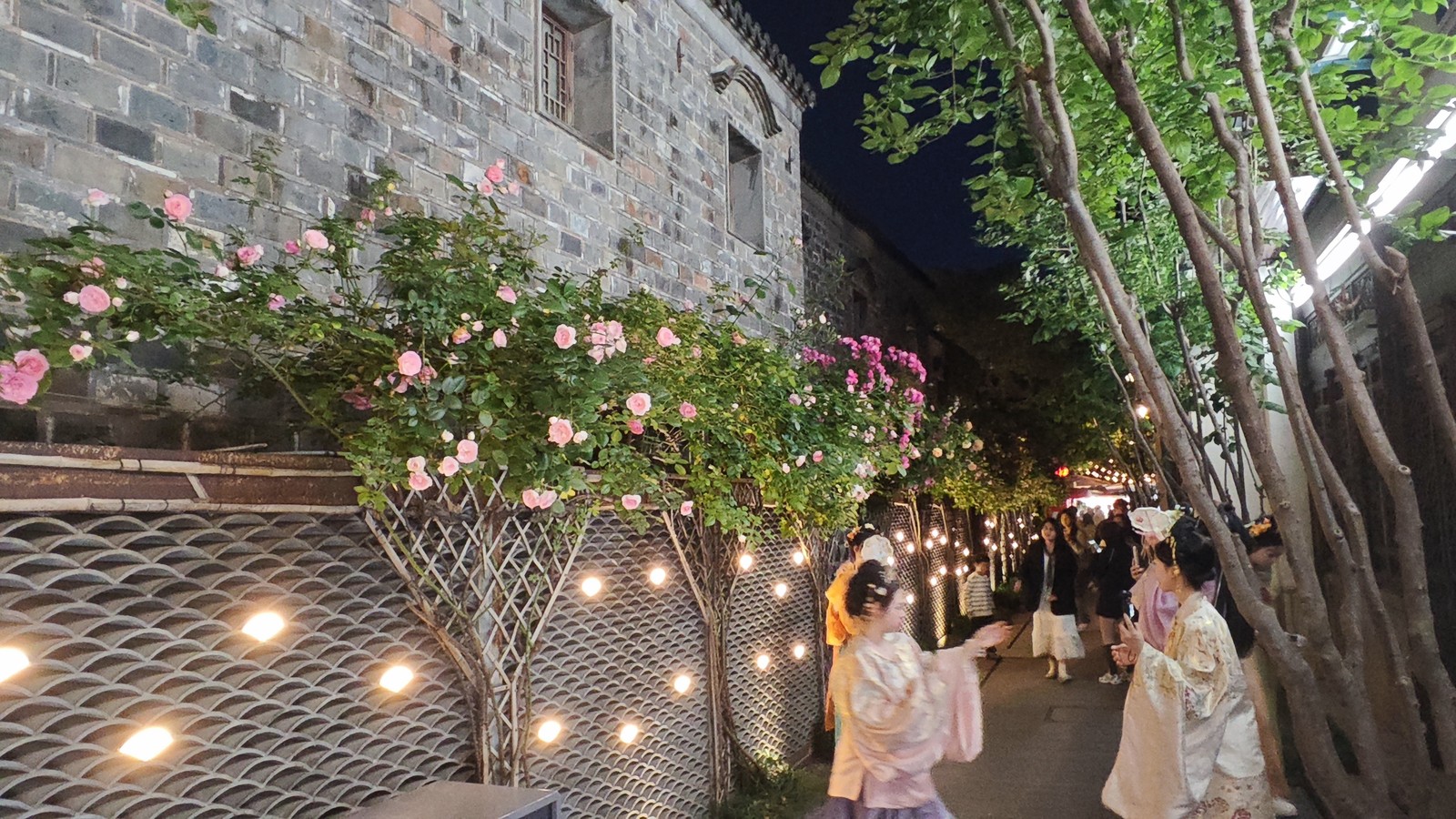 Hanfu visitors under rose bushes at Laomendong